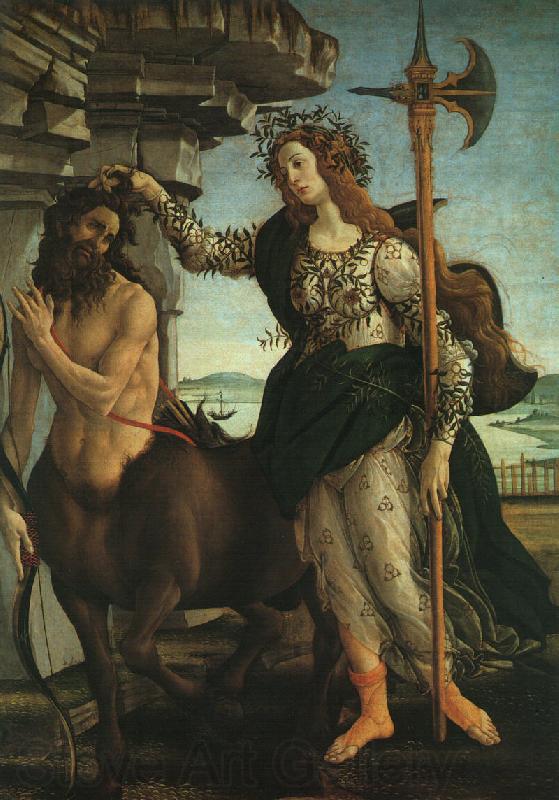 BOTTICELLI, Sandro Pallas and the Centaur f Norge oil painting art